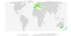 Common Blackbird ebird data map.png