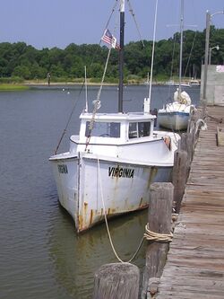 Deadrise Workboat Virginia Round Stern Type Bow View.JPG