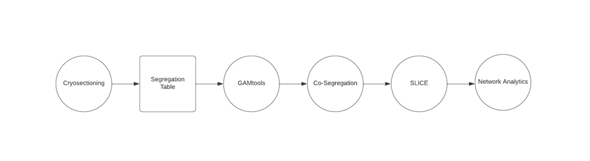 flowchart showing a general process of GAM data analysis. Circles represent a process and squares represent data.