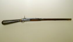 Girandoni Air Rifle.jpg