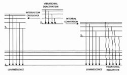 Jablonski diagram.jpg