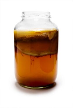 Glass jar filled with brown kombucha beverage, including the floating culture