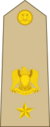 Libya-Army-OF-4.svg