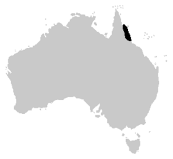 Litoria xantheroma distrib.PNG