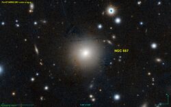 NGC 687 PanS.jpg