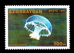 Stamps of Azerbaijan, 1995-317.jpg