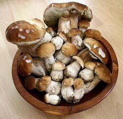Approximately two dozen brown-capped, white or light-brown stemmed mushrooms of various sizes in a brown bowl.