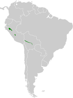 Tangara argyrofenges map.svg