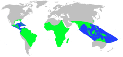 World.distribution.crocodilia.1.png