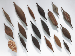 Australian Museum - Aboriginal Shields.png