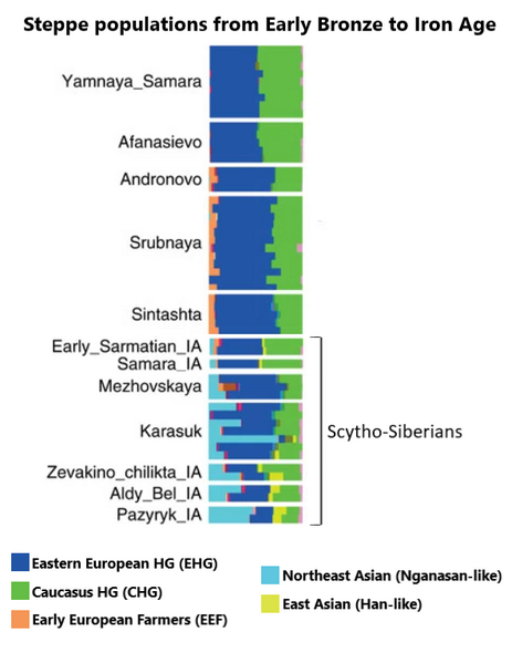 File:Bronze to Iron Age Steppe peoples genetic makeup.png
