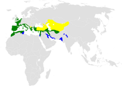 Cettia cetti distribution map.png