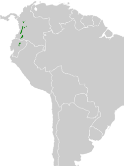 Chloropipo flavicapilla map.svg