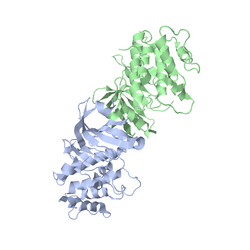 Crystall structure of the kinase gcn2.png