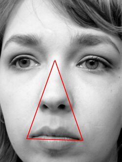 Danger triangle of the face diagram.jpg