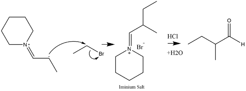 File:Enamine Alkylation via SN2 reaction with a Bromo-alkane.png