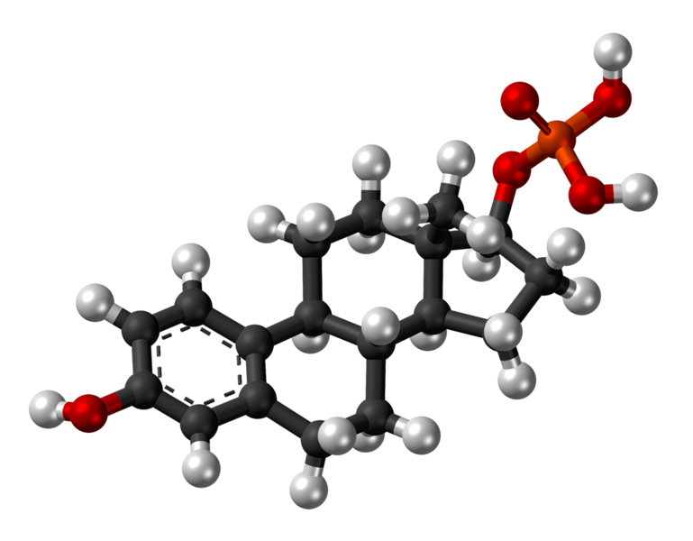 File:Estradiol phosphate molecule ball.png