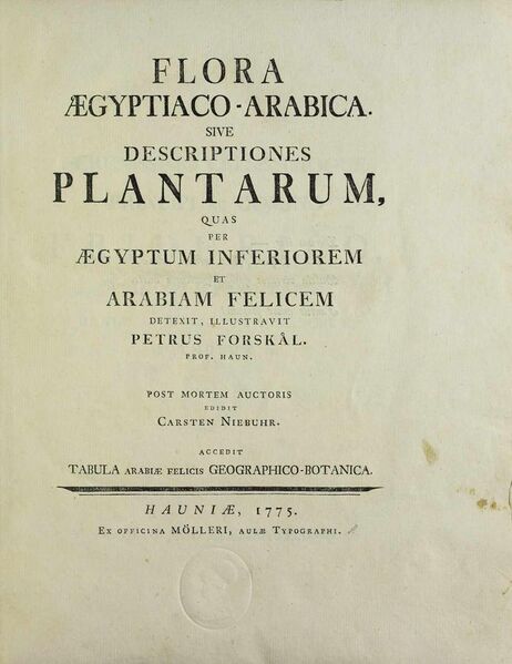 File:Forsskal, Pehr – Flora Aegyptiaco-Arabica, 1775 – BEIC 8733308.jpg