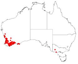 Hakea marginata Dist Map.jpg