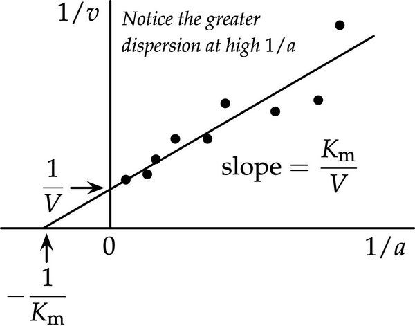 Lineweaver–Burk plot - HandWiki