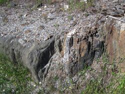 Lamprophyre dike & hornfels & country rock (Archean; Route 17 roadcut southeast of Princess Lake & north of Wawa, Ontario, Canada) 2 (48278201871).jpg