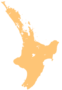 Putauaki is located in North Island