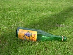 Photo of an empty bottle of Buckfast Tonic Wine