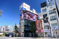 Shinjuku Cat Billboard