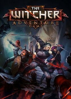 The Witcher Adventure Game cover.jpg