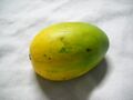 A green mango for you.JPG