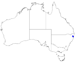 Boronia hapalophylla DistMap55.png