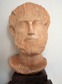 DSC00218 - Aristotele - Copia romana del 117-138 dC. - Foto di G. Dall'Orto.jpg