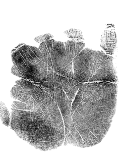 Female right palm print - 1.gif