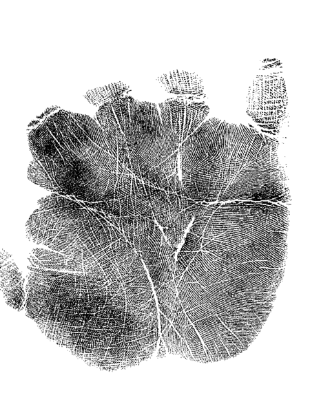 File:Female right palm print - 1.gif