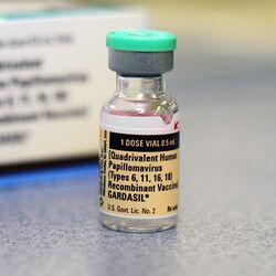 Gardasil vaccine and box new.jpg