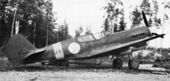 P-40M in Finnish markings in 1944.jpg