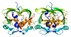 Protein ATXN1 PDB 1oa8.png