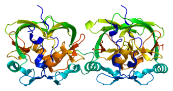 3D rendering of the AXH domain of Ataxin 1 protein