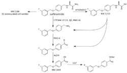 Safinamide metabolism.svg