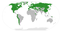 Saxifragaceae Distribution.svg