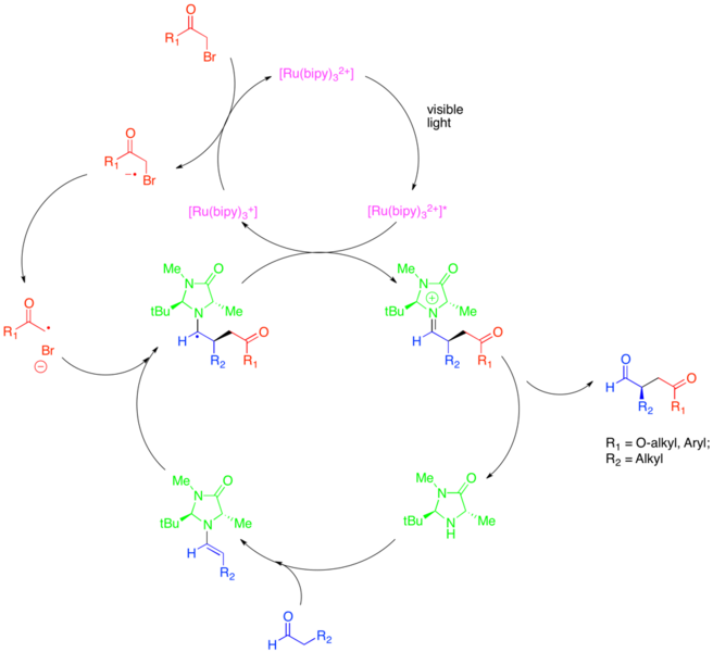 File:Synergistic Alkylation Figure.png