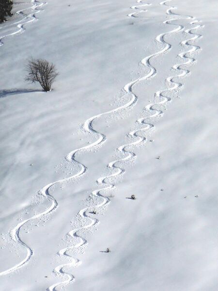 File:Traces de ski dans la neige.jpg