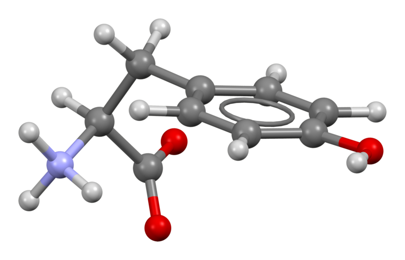 File:Tyrosine-from-xtal-3D-bs-17.png