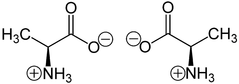 File:Zwitterion-Alanine.png