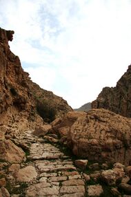 Ancient Cobblestoned Pathway in Zagros, Behbahan