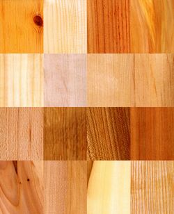 16 wood samples.jpg