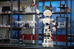 3d-printed-humanoid-robot-manav-mumbai-techfest-2015.jpg