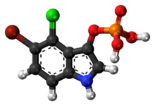 Ball-and-stick model of the BCIP molecule