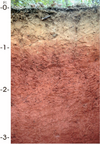 An image of a vertical slice of soil which has different colors in layers from light brown at the surface to red at depth.