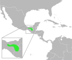 Bufo macrocristatus distribution.svg